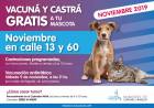 Campaña de vacunación antirrábica gratuita