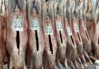 "Se mandaron 360 animales a faena para exportación"