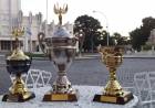 Ya están los premios del Triatlón