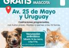 Vacuná y castrá gratis a tu mascota