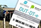Contacto SENASA tareas a distancia durante cuarentena COVID-19
