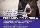 Vacunación antirrábica para perros y gatos, gratuita y masiva