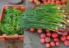 Producción de la Huerta Municipal
