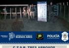 El CPR Pringles secuestró 67 animales en la vía pública y trabaja en identificar a su dueño
