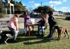 Campaña de Castración Masiva de Perros/as en el Club Divisorio