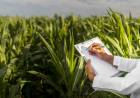 Estudiá en Pringles Formación Profesional en Producción Agropecuaria con Orientación en Producción Agrosostenible