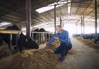 La ganadería no es enemiga de la agricultura