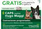 Castraciones y vacunaciones gratuitas