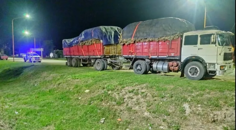 Operativos Rurales en Pringles: Secuestro de Carga y Control de Irregularidades