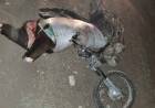 Coronel Pringles: Detienen a un hombre por matar dos vacas de un campo y llevarse la carne en moto