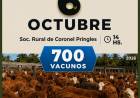 Remate Feria con 700 vacunos