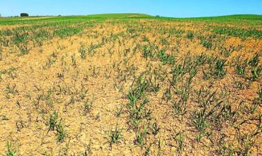 Emergencia Agropecuaria
