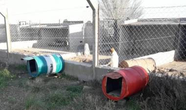 ¿Querés ayudar a los perritos del Refugio?