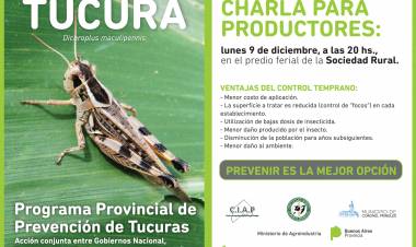 Convocan a productores locales para combatir la tucura