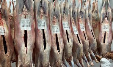 "Se mandaron 360 animales a faena para exportación"