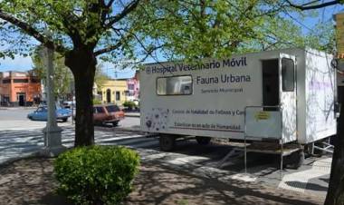 "El objetivo es que en el Refugio no ingresen más perros"