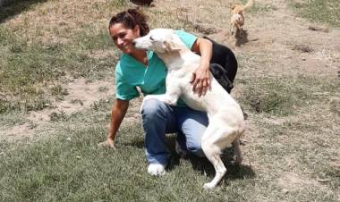 Vecinos Solidario