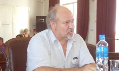 "Hay problemas que son de Pringles y no de un gobierno en particular"