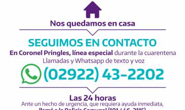 Cuarentena sin Violencia