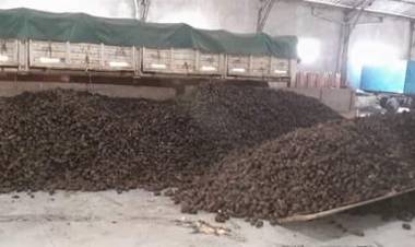 Nueva donación de papas al Municipio