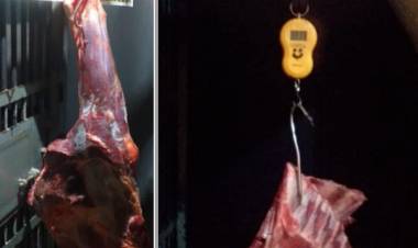 Infracciones y Estafas en Cuarentena