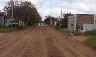 Movimiento de suelo, nivelación, compactación y poda