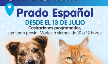 Vacunación y Castración de mascotas