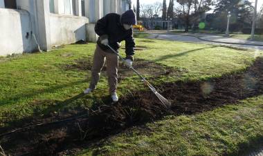 Nuevas rosas en el Palacio Municipal