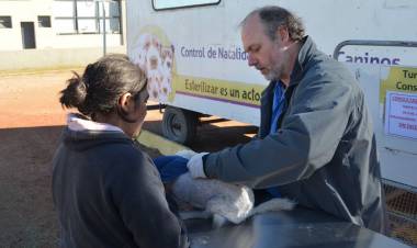 En enero de 2021, el Castrador Móvil atenderá en la Plazoleta Eva Perón