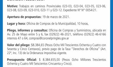 Licitación Pública MCP