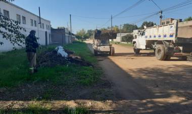 Limpieza y Concientización