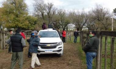 Ganadera Salliqueló: Remate mensual en Pringles