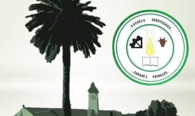 Reconstruir lo perdido e indispensable en la escuela ya está en marcha