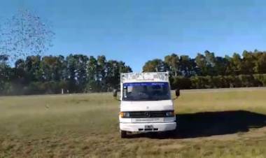 Colombófilas: Comienzo de la actividad 2021