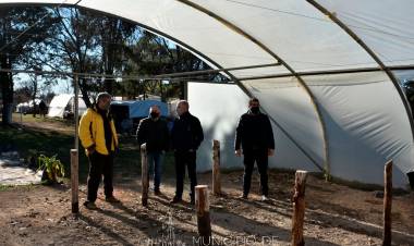 Vivero Municipal: comenzó su traslado al predio de Producción