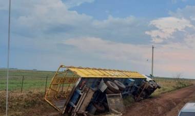 Volcó un camión y provocó el deceso de 14 animales