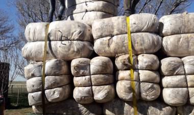 2° Licitación de Lanas del Centro de Acopio "Coronel Pringles"