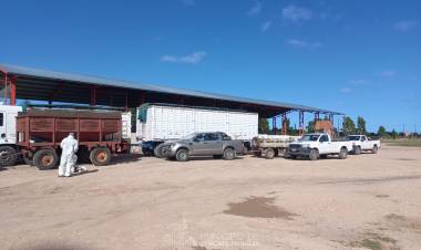 Campaña de recolección de envases vacíos de fitosanitarios