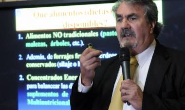 Aníbal Fernández Mayer, por el calor que afecta a la hacienda, dijo ‘la sombra es clave’