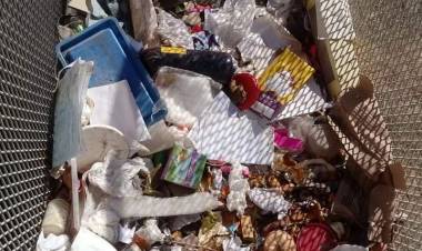 Residuos a granel y heces de perros en basuril de una institución