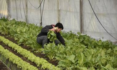 La Cooperativa El Triunfo sigue trabajando a pleno