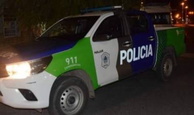 Aprehendido por lesiones y daños