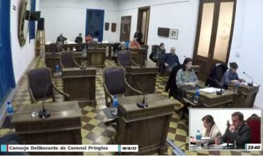 HCD Sesión Especial: "Un Concejal en Pringles gana entre 105 y 110 mil pesos, nos obliga la función pública"