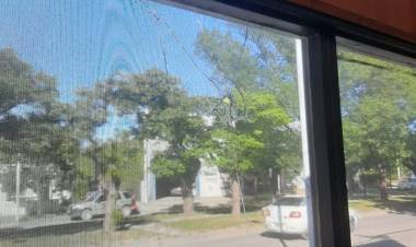 Rompen vidrios en las oficinas de Ranzuglia SRL