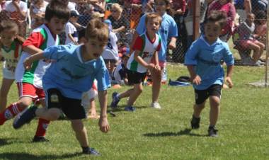 Liga Pringles: El próximo lunes encuentro de Escuelas de Fútbol