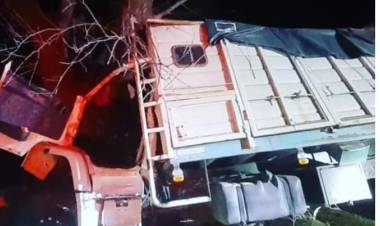 Camionero pringlense herido al chocar una planta