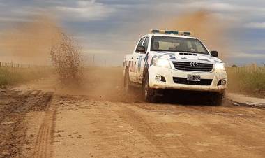 Transportaba 59 animales sin documentación