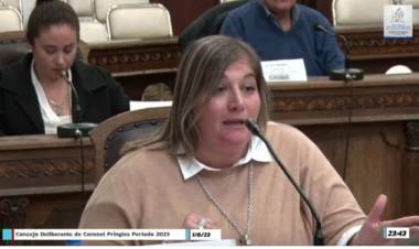 "Cada 28 horas hay una caso de femicidio"