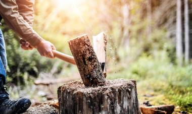 El municipio entregó más de 74 mil kilos de leña a vecinos de Pringles