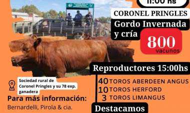 Ganadera Salliqueló rematará en la 78° Exposición Ganadera